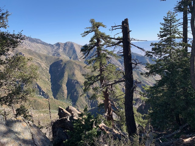 San Jacinto Wilderness