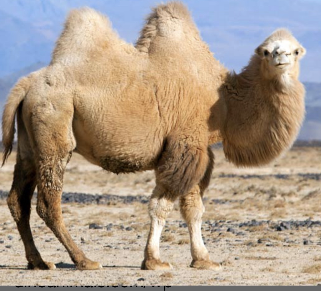 Langzaam/Lentos/Slow