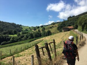 IMG_0882