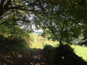 IMG_3391