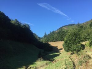 IMG_3411