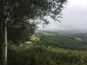 IMG_3530